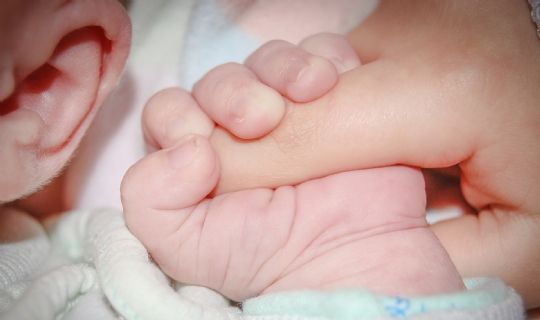 Erzincan’ da doğurganlık hızı 1,57 Oldu