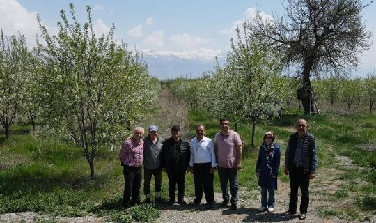 Erzincan’da Vişne Bahçeleri Bitki Sağlığı Kapsamında Kontrol Ediliyor