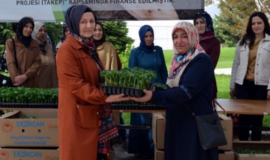 Kadın Çiftçilere Fide Desteği Sağlandı