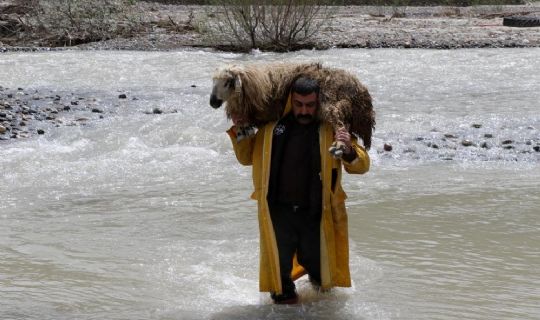 Besici, Yetkililerden Yardım İstedi