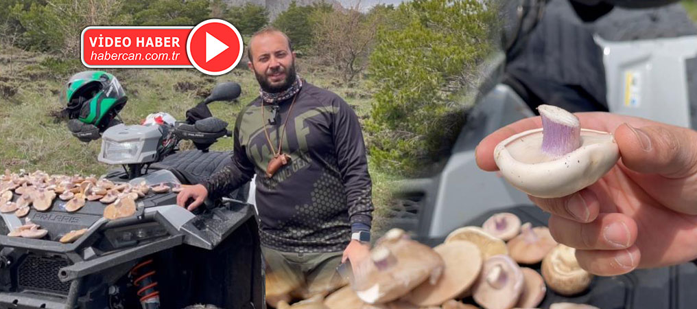 Adrenalin Tutkunları 3 Bin Rakımda Mantar Topladı