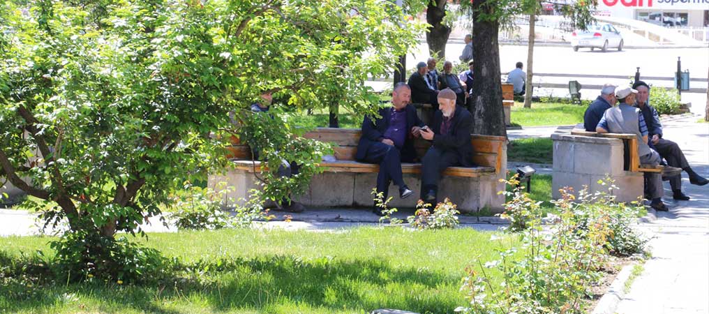 Ağaç Gölgelikleri Misafirlerini Ağırlıyor