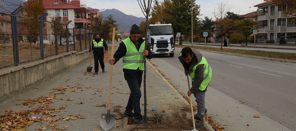 Ağaçlandırma Çalışmaları Sürüyor