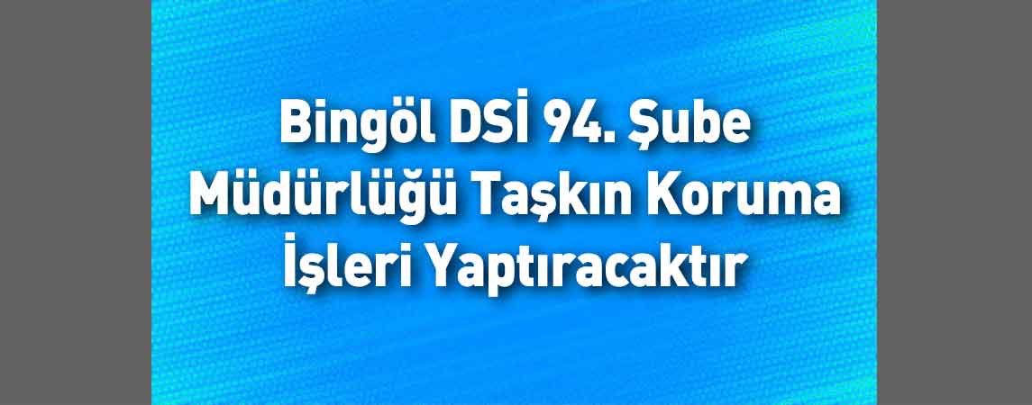 Bingöl DSİ 94. Şube Müdürlüğü Taşkın Koruma İşleri Yaptıracaktır