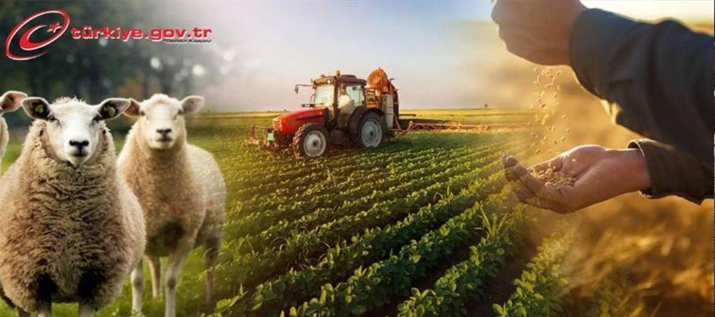 ÇKS Başvuruları 31 Aralık'ta Sona Erecek