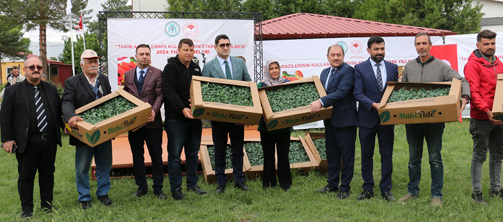 Çiftçiler Gününde 417 Bin Adet Kapya Biber Fidesi Dağıtıldı