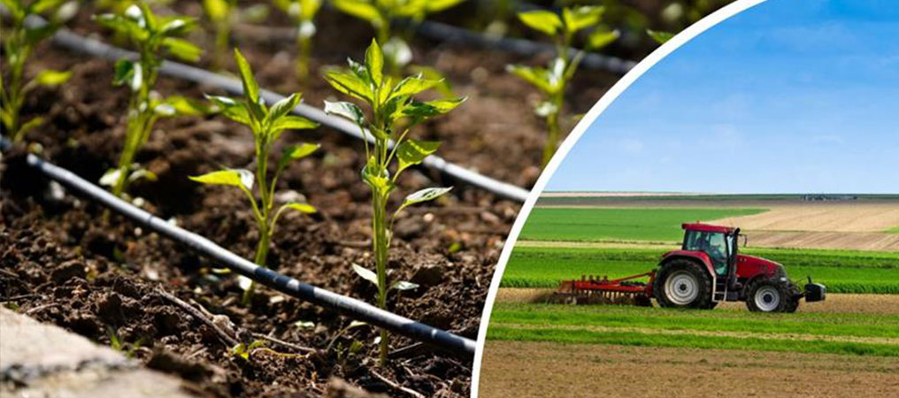 Çiftçilere 2 Milyar 32 Milyon Liralık Destekleme Ödemesi Hesaplara Aktarıldı