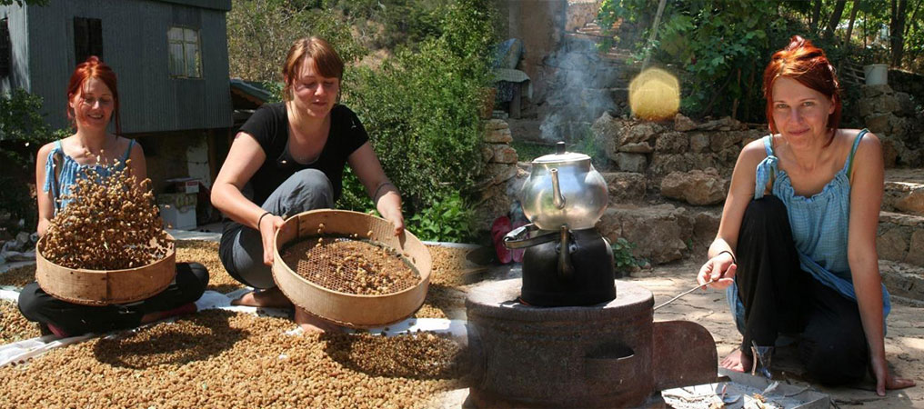 Çiftlikte Çalışarak Tatil Yapıyorlar