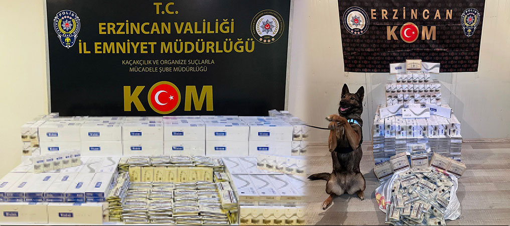 Dedektör Köpeği “HERA”dan Sigara Kaçakçılığına Geçit Yok!