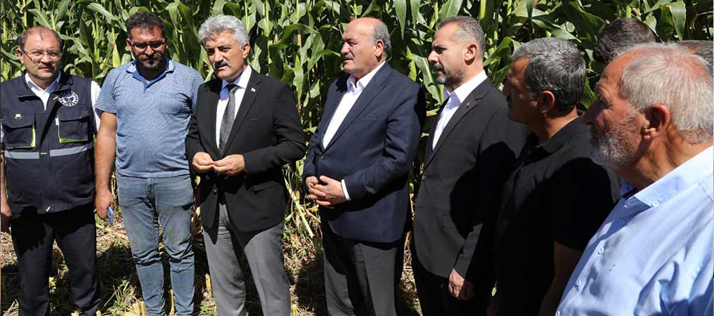 Düzenli Sulama Verimi Artırdı