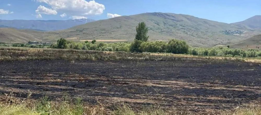 Ekili 10 Dekar Tarla Küle Döndü