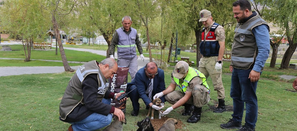 Erzincan Belediyesi Sokak Hayvanlarını Unutmuyor