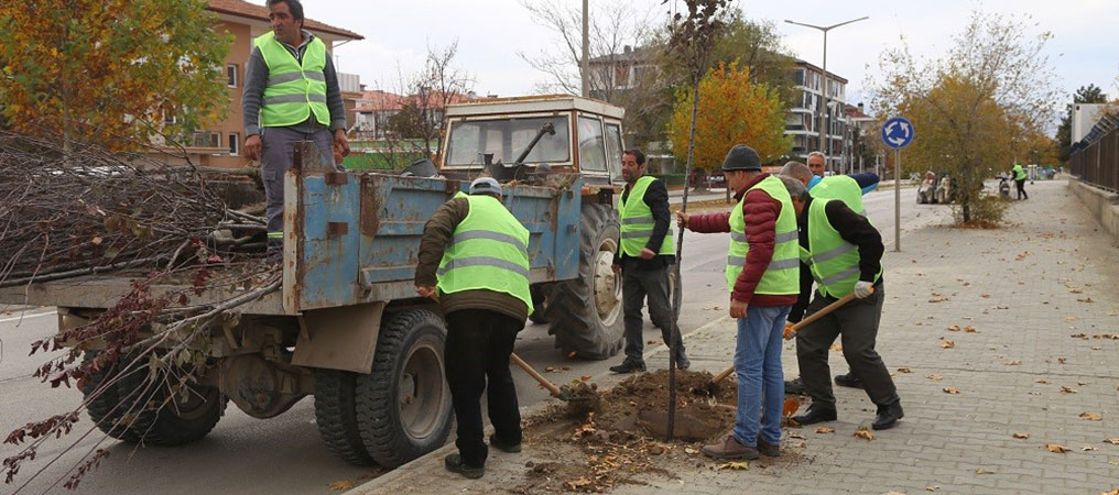 Erzincan Belediyesinden Ağaç Seferberliği