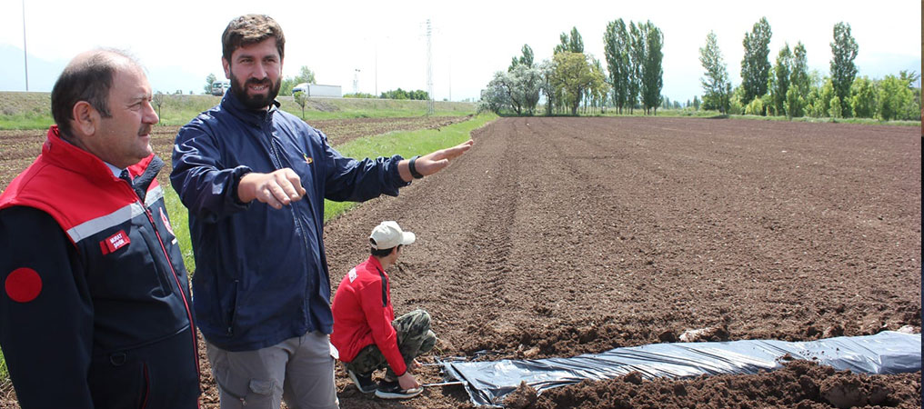 Erzincan Bölgenin Sebze ve Meyve Deposu Olma Yolunda İlerliyor