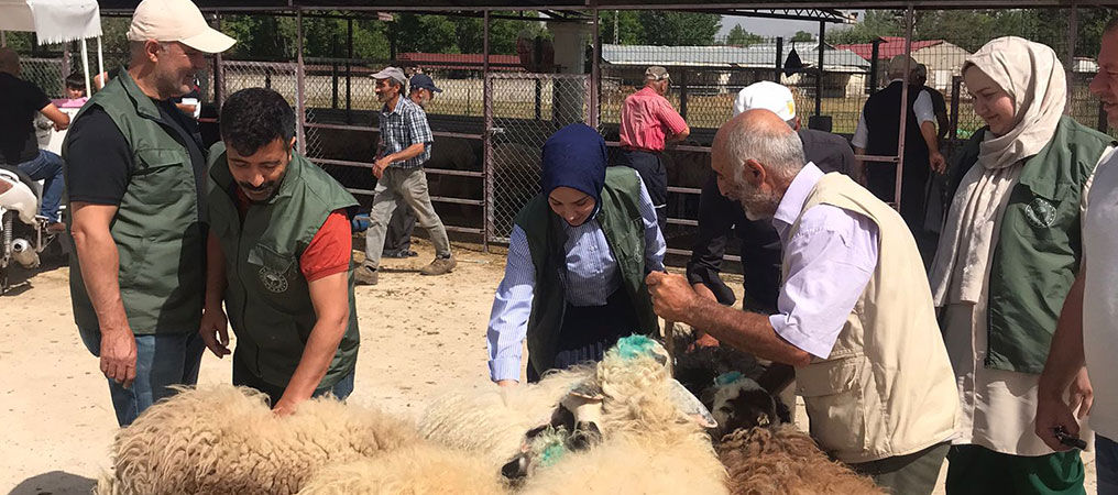 Erzincan Hayvan Pazarında Kurban Denetimleri Sürüyor