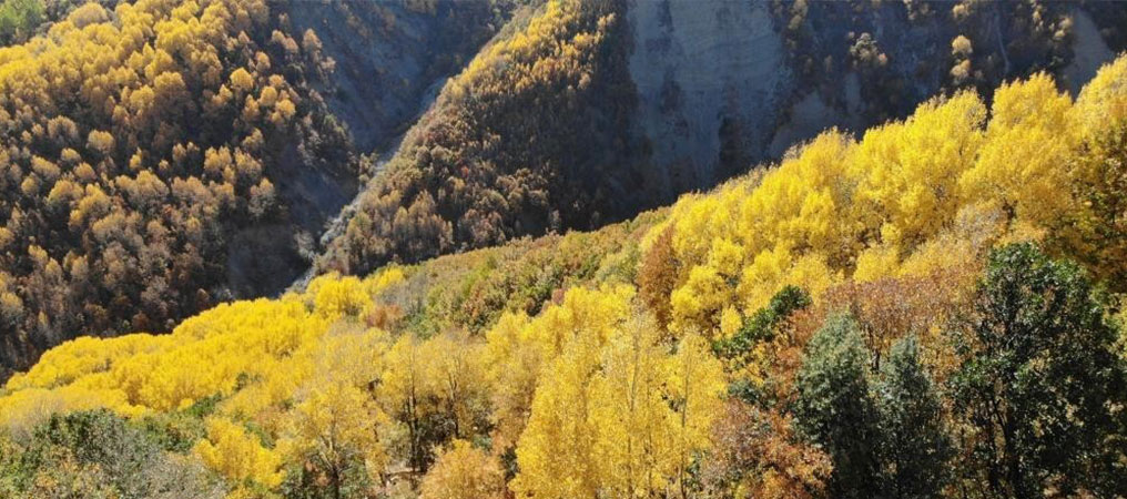 Erzincan Sonbahar Mevsimiyle Birlikte Renk Cümbüşüne Büründü