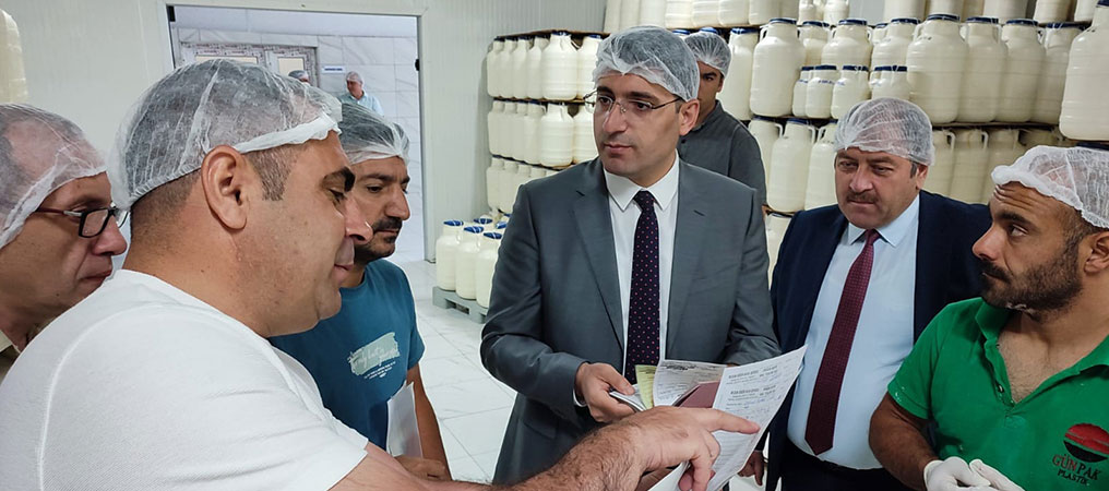 Erzincan Tulum Peynirleri Soğuk Hava Depolarında Bekleme Süresini Dolduruyor
