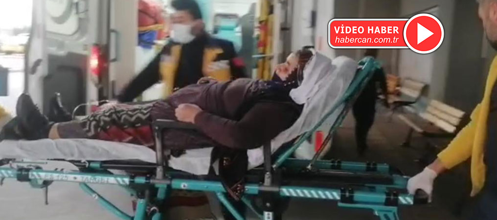 Erzincan’da 6 Kişi Mantar Zehirlenmesi Şüphesi İle Hastaneye Kaldırıldı