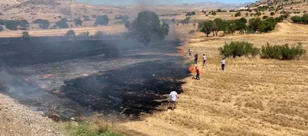 Erzincan’da Anız Yakmak Yasak!