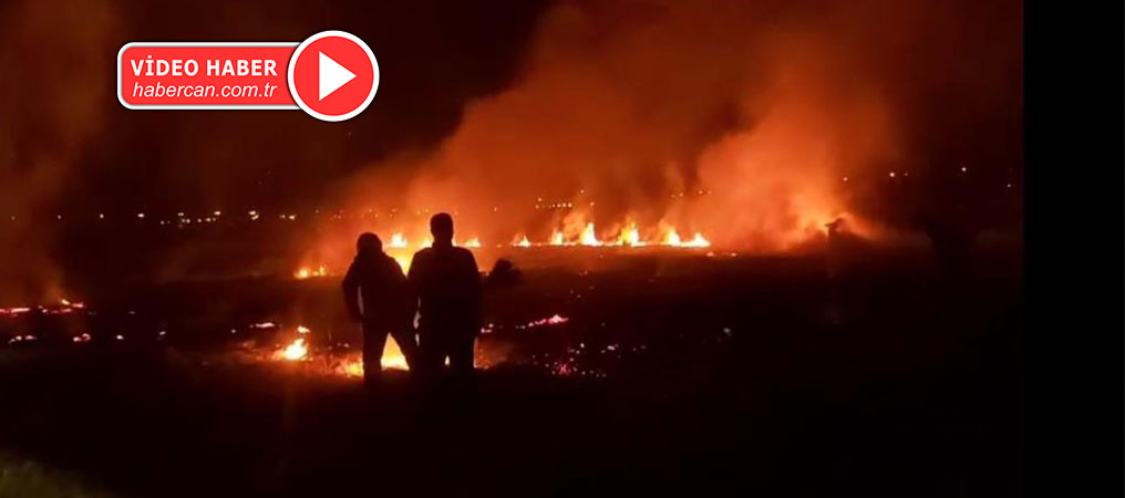 Erzincan’da Anız Yangını