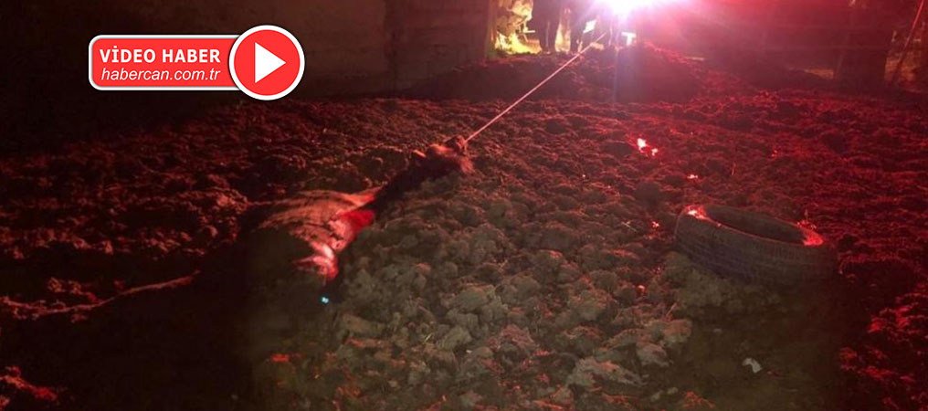 Erzincan’da At Kurtarma Operasyonu