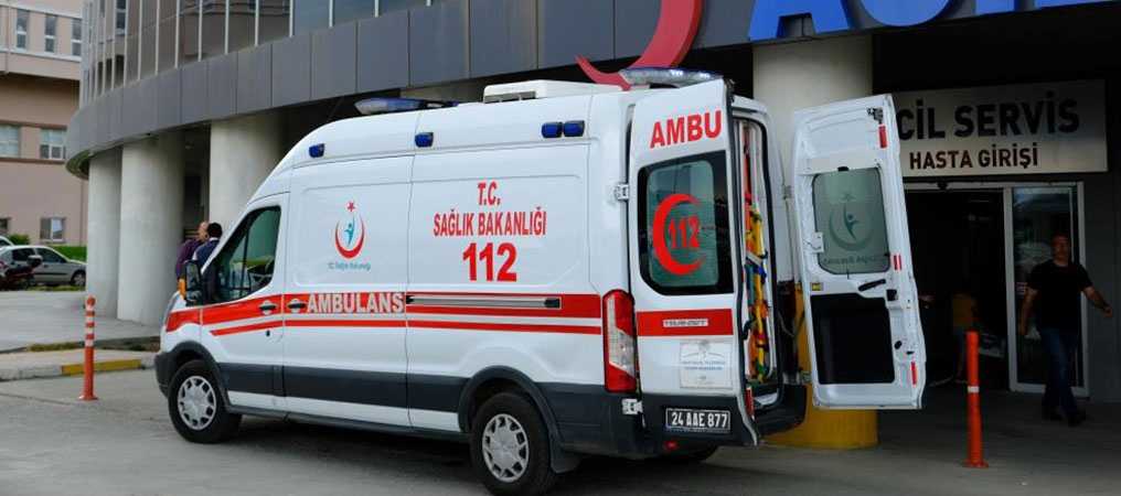 Erzincan’da Ayı Saldırısı: 1 Kişi Yaralandı