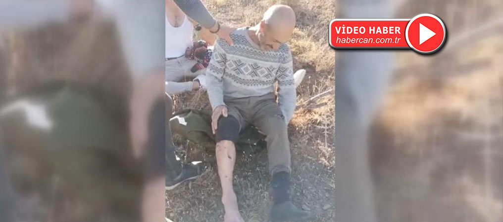 Erzincan'da Ayı Saldırısında 1 Kişi Yaralandı