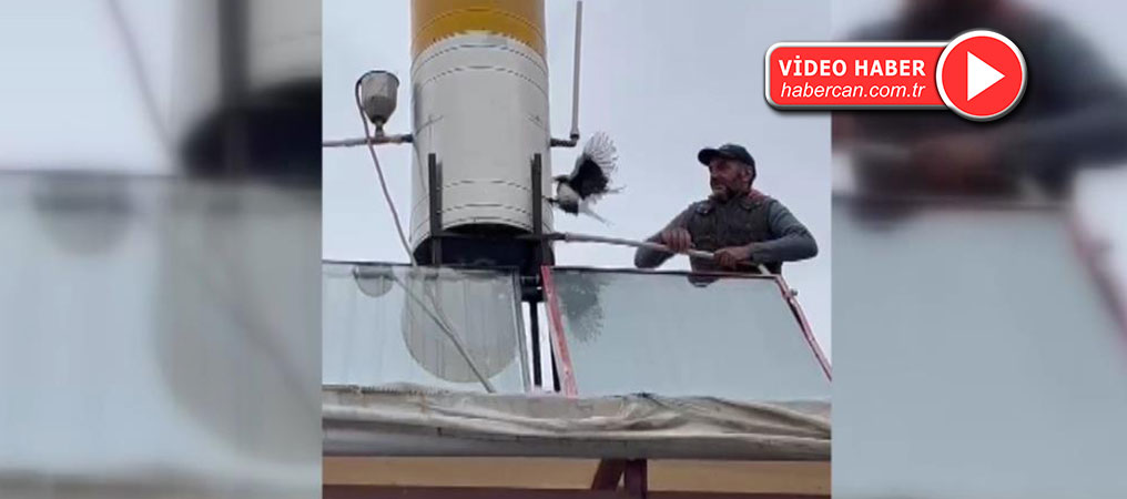 Erzincan’da Çatıda Karga Kurtarma Operasyonu