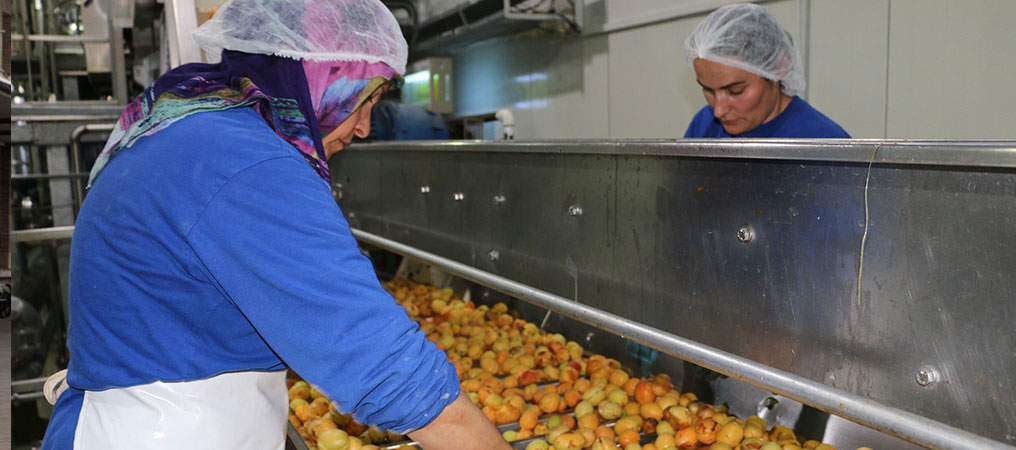 Erzincan’da Ekim Ayında İhracat 1 Milyon 507 Bin Dolar olarak Gerçekleşti