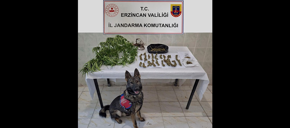Erzincan'da Jandarma Ekipleri Suçlulara Göz Açtırmıyor