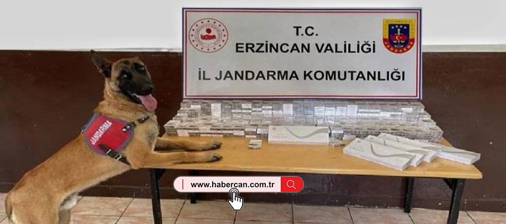 Erzincan’da Jandarma’dan Kaçakçılığa Geçit Yok