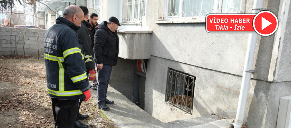 Erzincan’da Köpek Kurtarma Operasyonu
