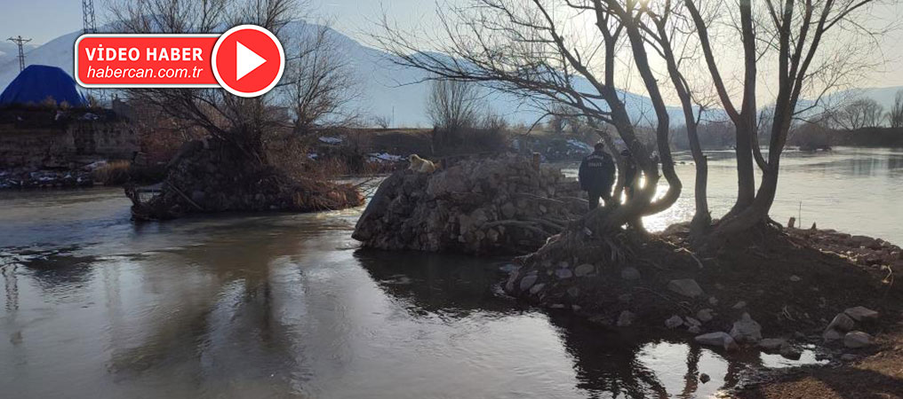 Erzincan’da Köpek Kurtarma Operasyonu