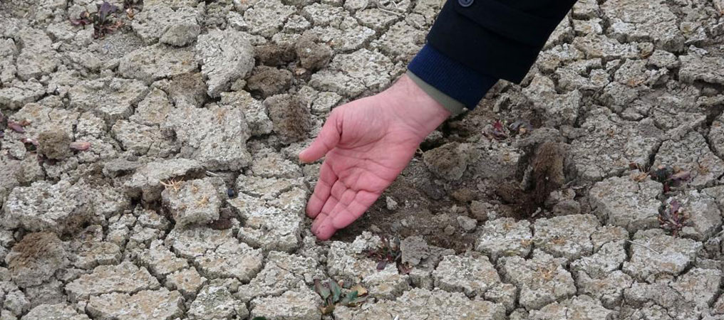 Erzincan’da Kuraklık Tehlikesi 