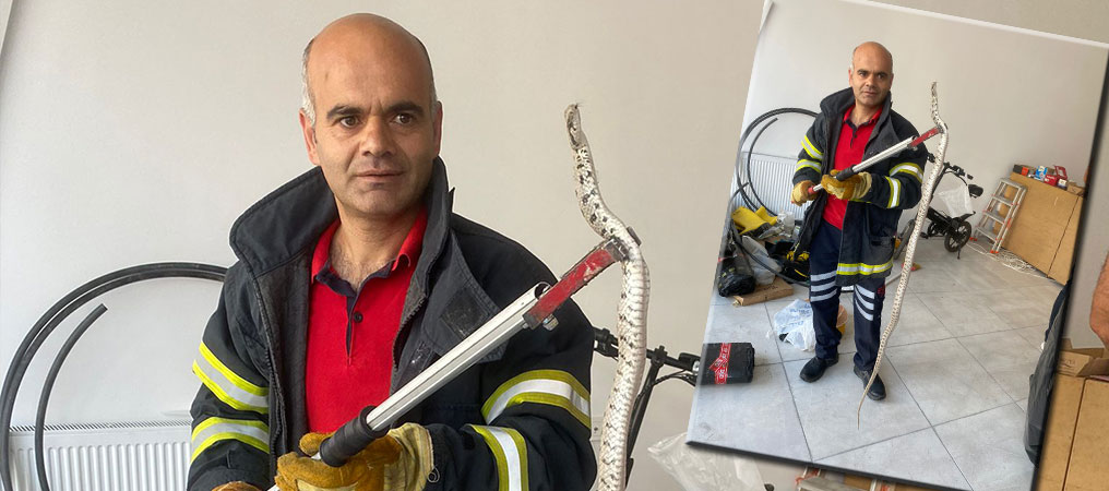 Erzincan’da Ofise Giren Zehirli Yılan Korkuttu