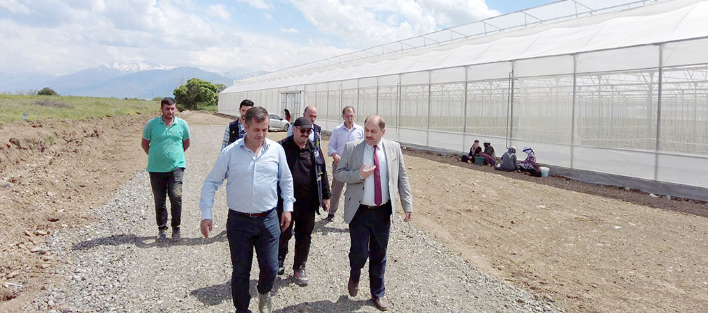 Erzincan’da Seracılık Sektörü Büyüyor