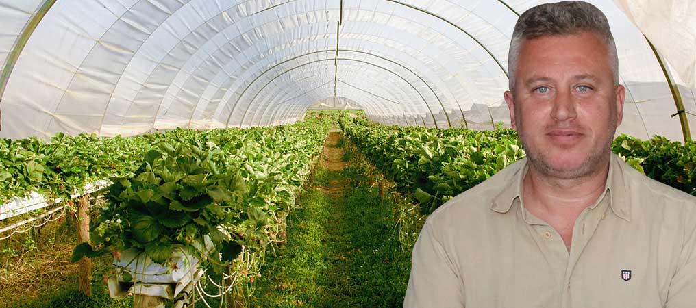 Erzincan’da Seralara Teşvikler İyi Oranda Yapılıyor