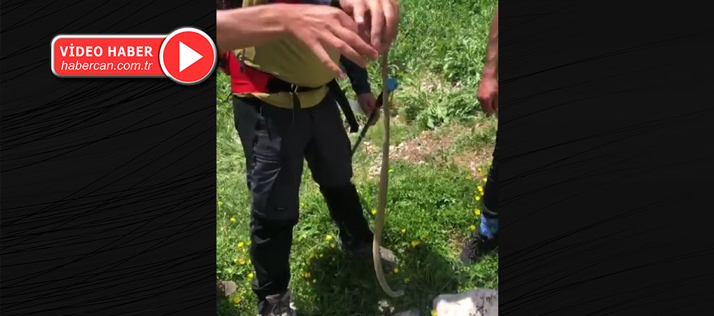 Erzincan’da Sıcak Havalar Yılan Görülme Vakalarını Artırdı