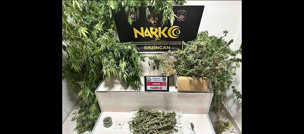 Erzincan'da Uyuşturucu Operasyonu: 1.285,3 Gram Esrar ve 11 Kök Kenevir Ele Geçirildi