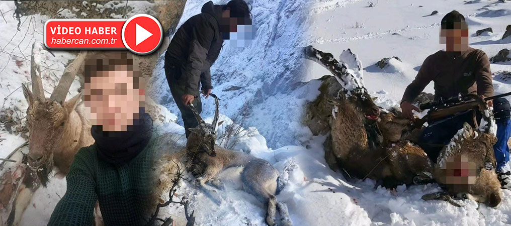 Erzincan’da Yaban Keçisi Avlayan 5 Kişiye Rekor Para Cezası