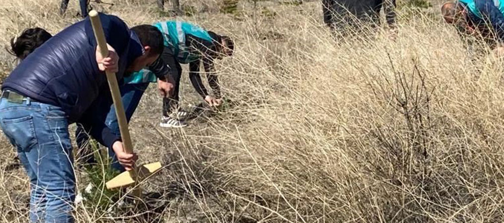 Erzincan’da Yükümlüler Fidan Dikti