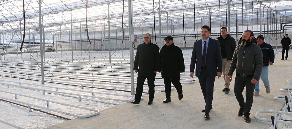 Erzincan'da İlk Defa Jeotermal Isıtmalı Topraksız Serada Üretim Şubat'ta Başlayacak