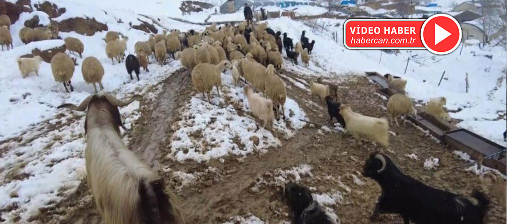 Erzincan’ın Köylerinde Kış Mesaisi Sürüyor
