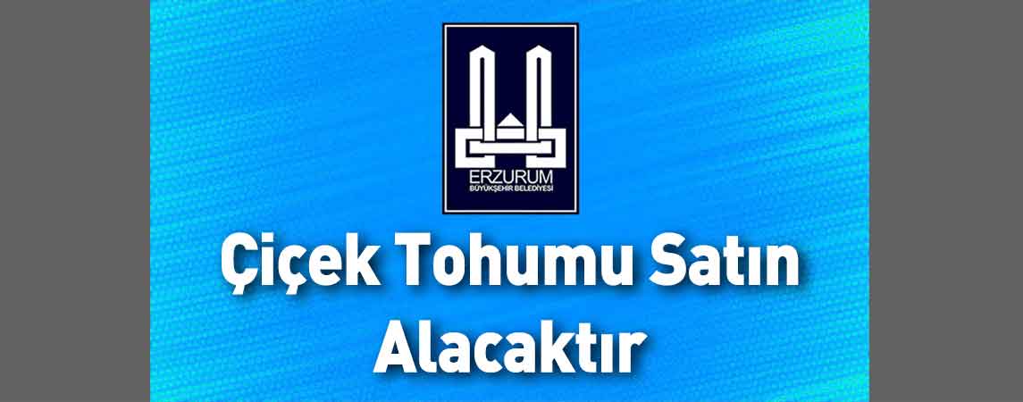 Erzurum Büyükşehir Belediyesi Çiçek Tohumu Satın Alacaktır