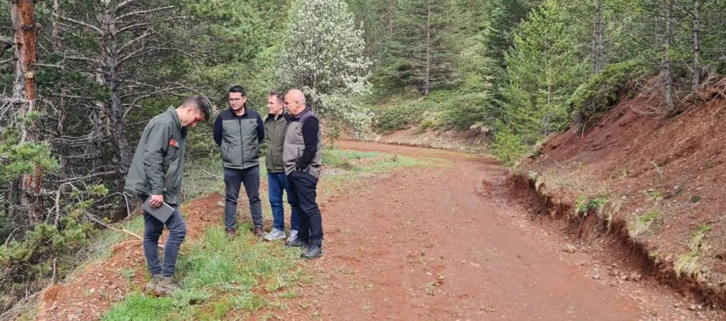 Erzurum Orman Bölge Müdürü Ayatay, Refahiye Ormanlarında İncelemelerde Bulundu