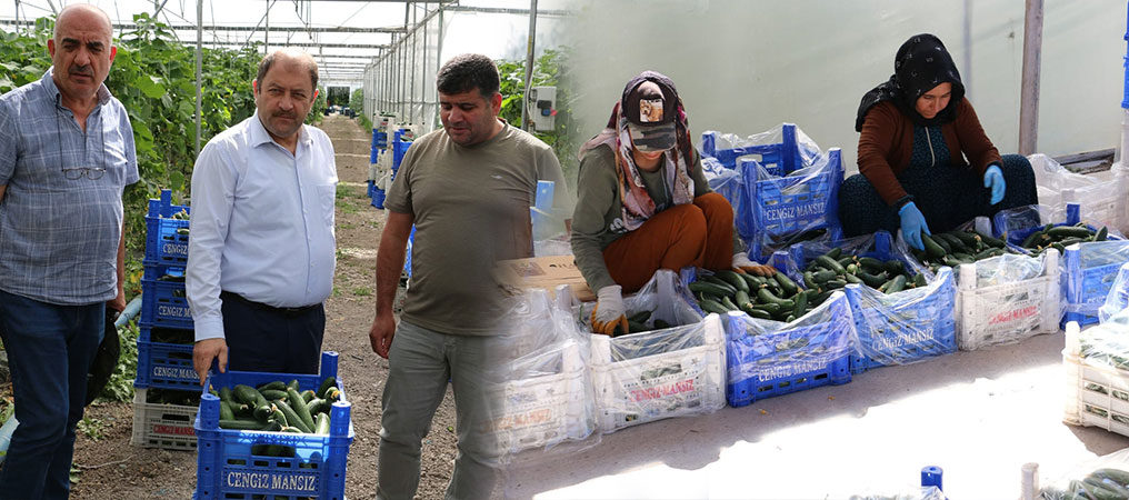 Genç Girişimciler Erzincan’da Geleceğin Yatırımı Tarıma Yöneliyor