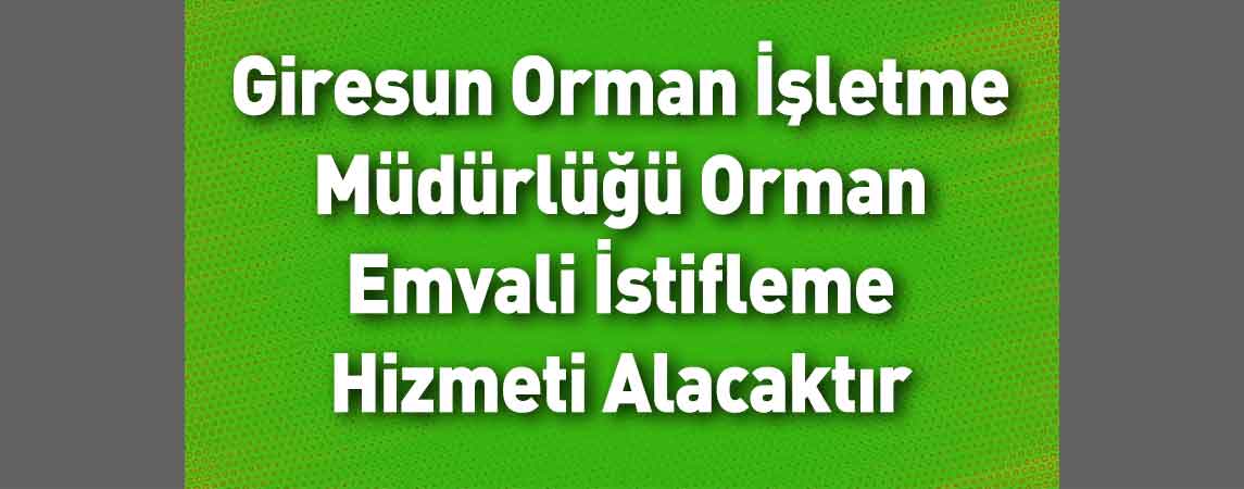 Giresun Orman İşletme Müdürlüğü Orman Emvali İstifleme Hizmeti Alacaktır