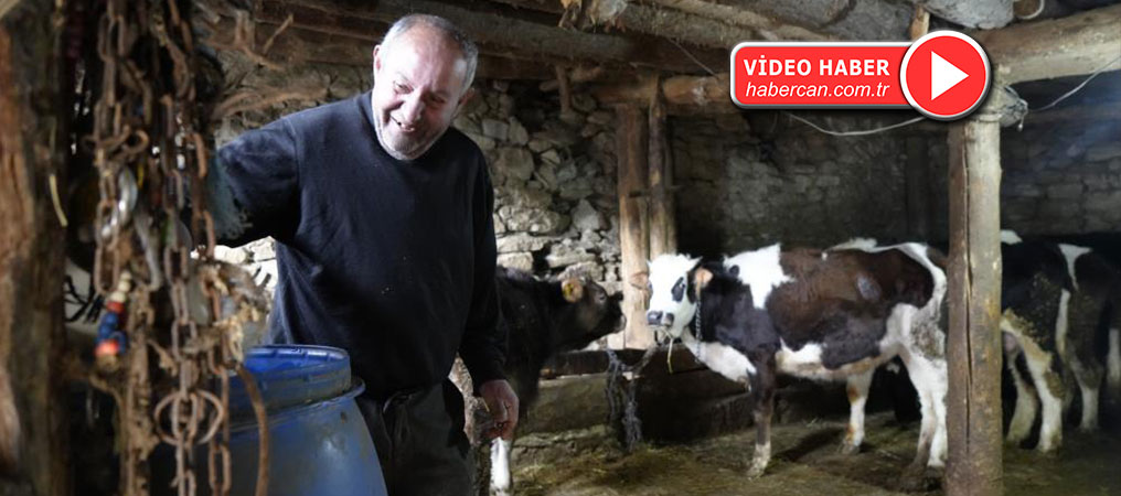 Görmeyen gözlerine rağmen hayvancılık yaparak hayata tutunuyor