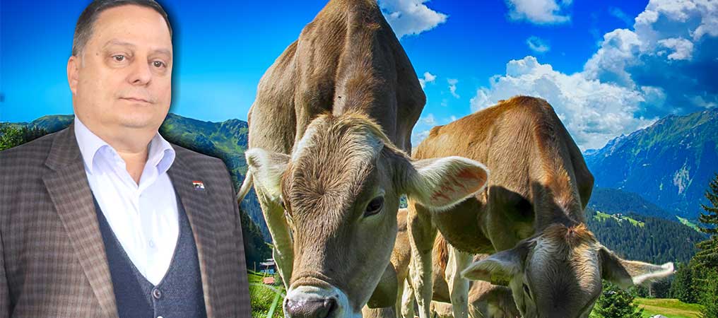 Günay, Besicileri Girdi Maliyetlerinden Kurtaracak Destekler Yapılacak