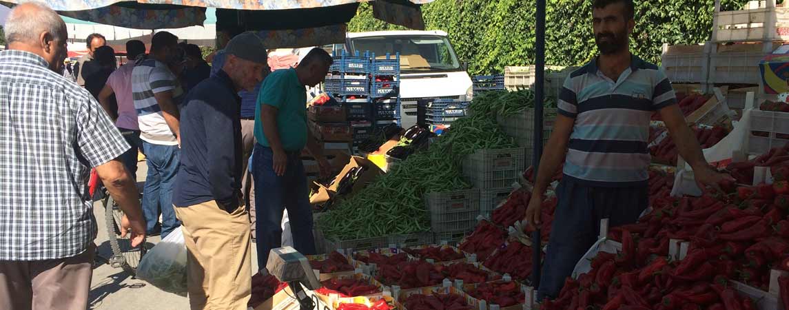 Pazarlarda Salçalık Biber Hareketliliği